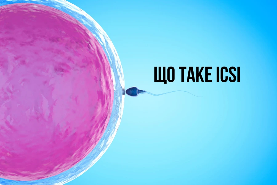 ICSI- коли один сперматозоїд може змінити все 2