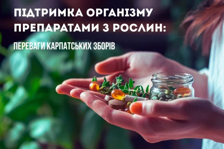 підтримка організму препаратами з рослин 1
