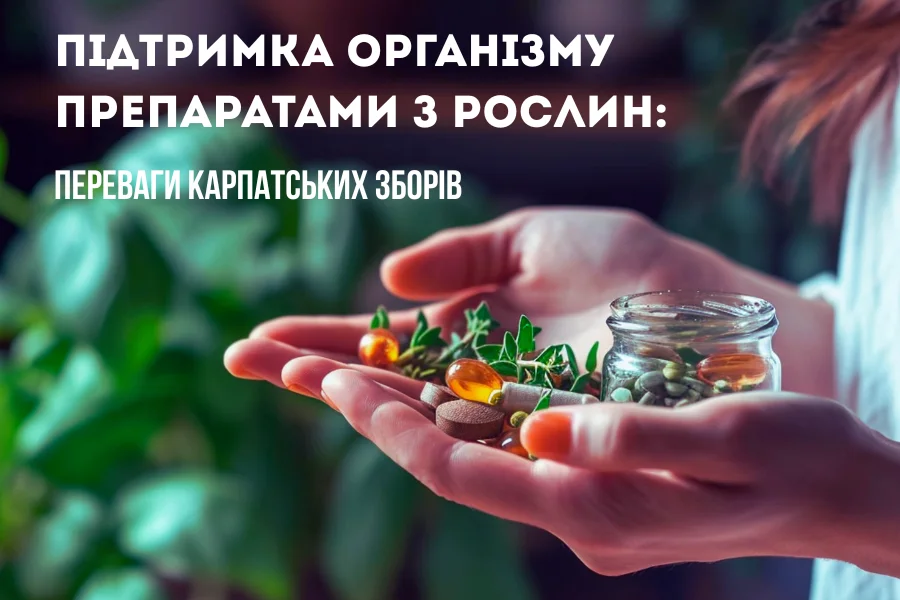 підтримка організму препаратами з рослин 1