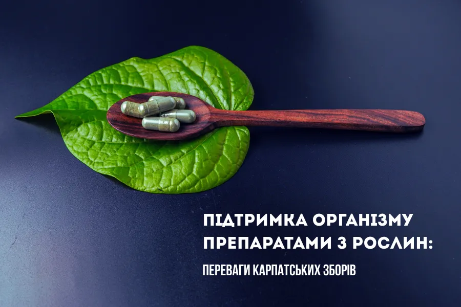 растительные формулы Підтримка організму рослинними формулами — користь природних комплексів
