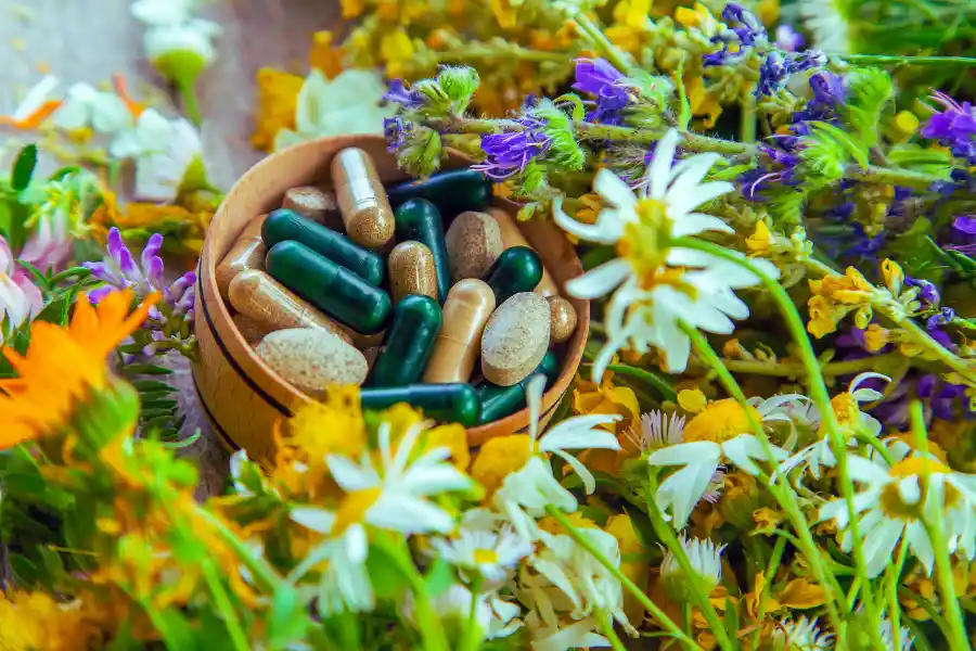 Підтримка організму препаратами з рослин: переваги карпатських зборів Підтримка організму препаратами з рослин: переваги карпатських зборів