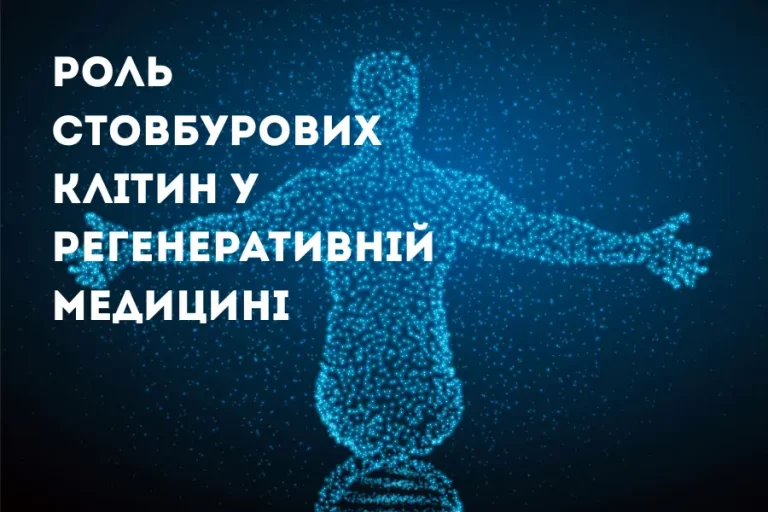 Роль стовбурових клітин у регенеративній медицині: що вже працює у 2025–2026 роках і що чекає найближчим часом